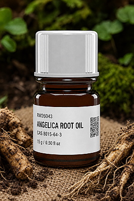 ANGELICA ROOT OIL - Payan Bertrand