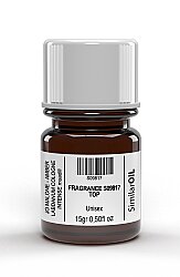 FRAGRANCE S09817 TOP 15 GRAM