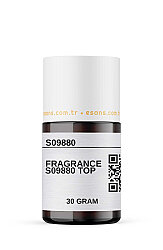 FRAGRANCE S09880 TOP 30 GRAM
