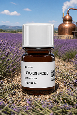 LAVANDIN GROSSO - 