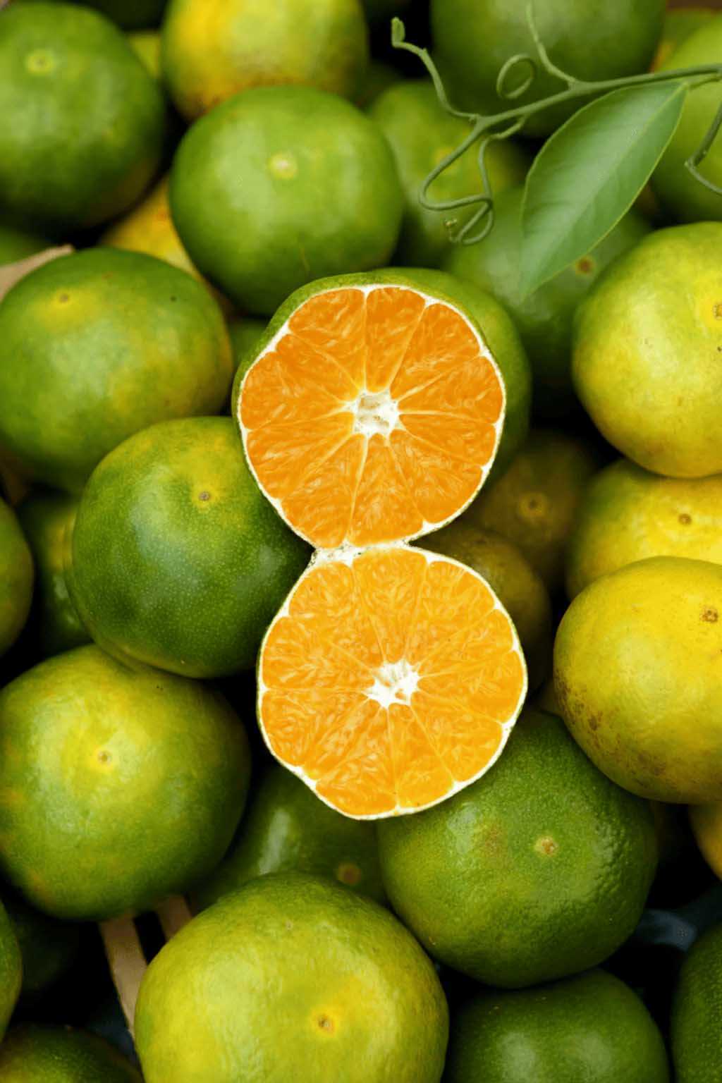 Mandarin Oil, Green %100 - 30gr - 