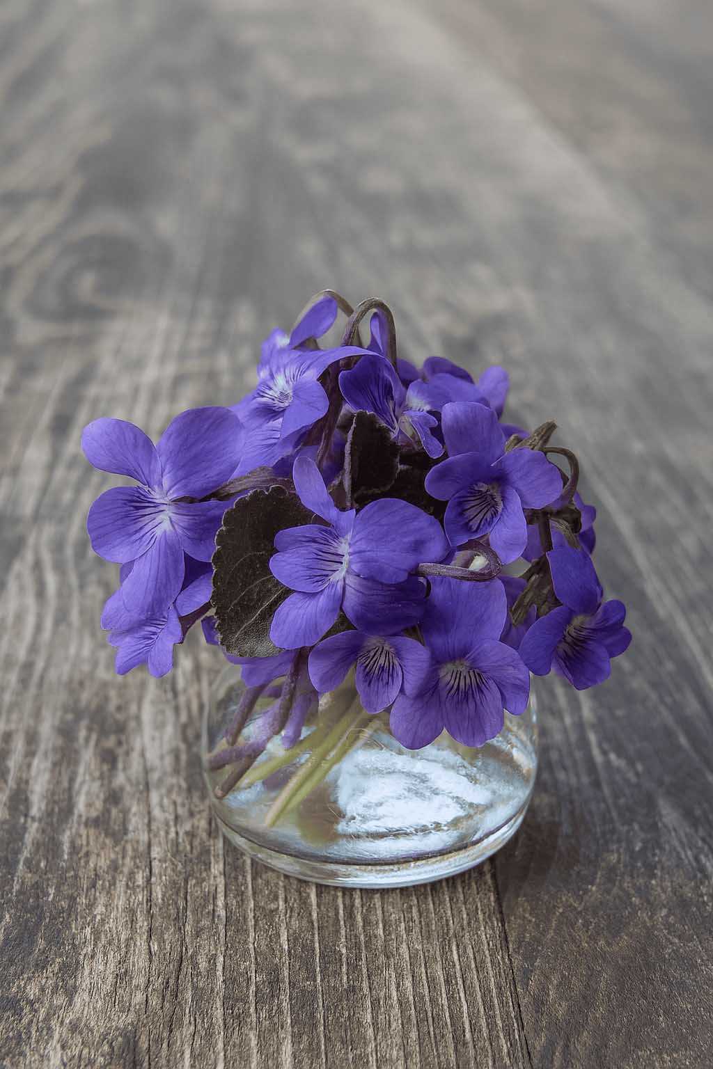 Methyl Ionone Gamma - 30gr - IFF