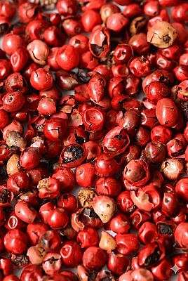 Pink Pepper Oil, Terebinthifolius - 30gr - Firmenich