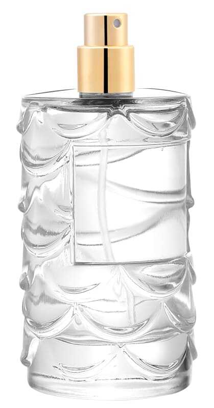 WAVE BIG 100 ml Parfüm Şişesi - Şelale (1)