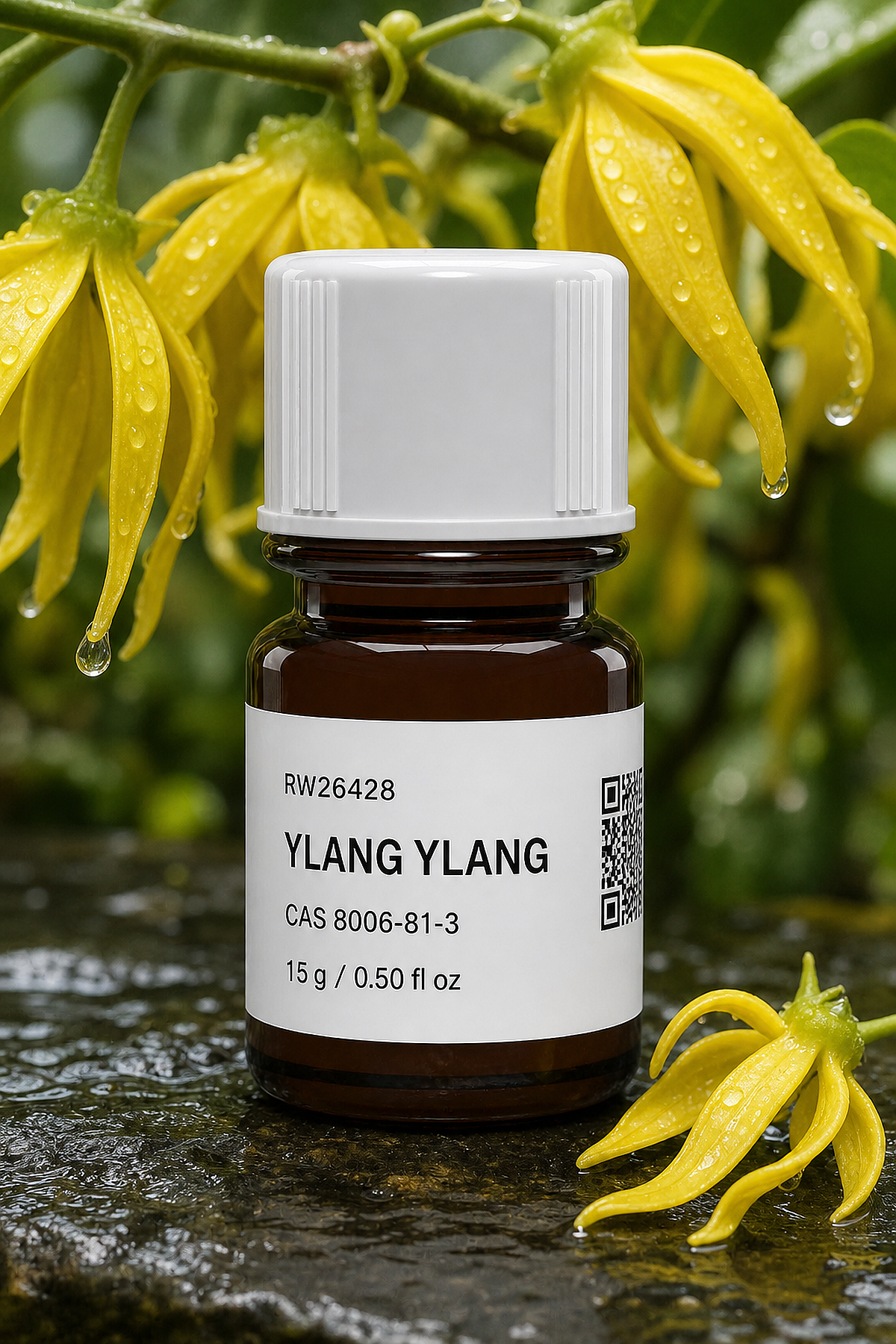 YLANG YLANG - 